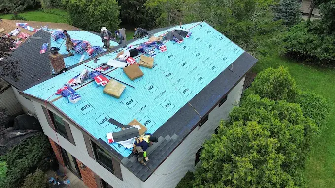 Why Are Falling Leaves a Concern for Roofs in Cedar Grove, NJ?