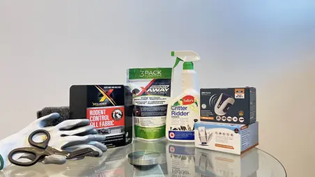 Top Rodent Repellents That Actually Work (And What to Avoid)