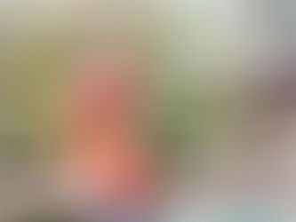 What Is the Best Hair Color for the Los Angeles Sun?