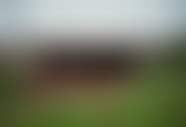 Learning to Check for Termites: Protect Your Home from Costly Damage