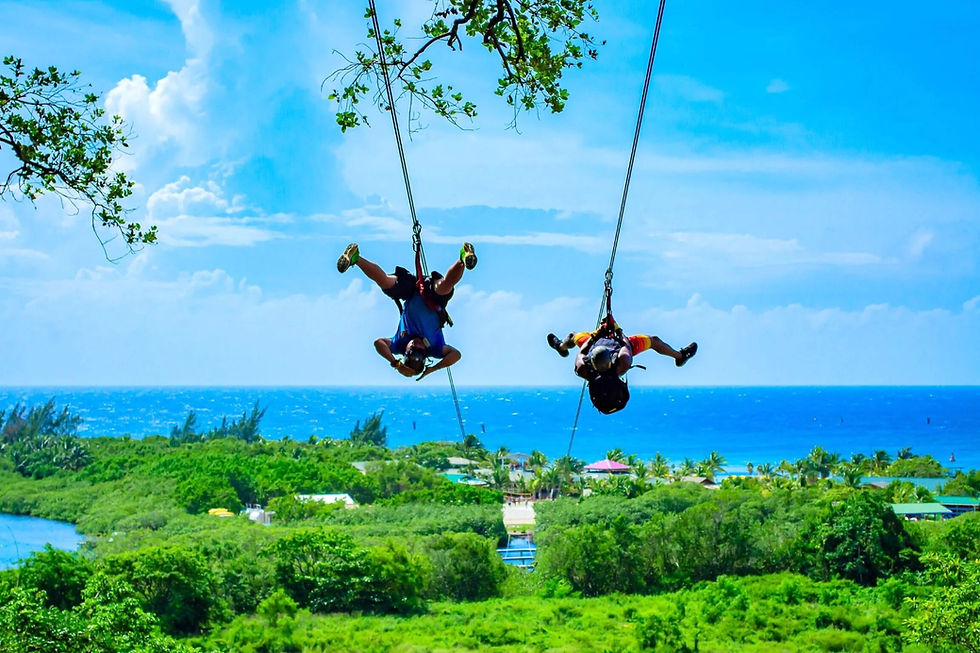 ATV + Zipline + Animal Park + Island Tour