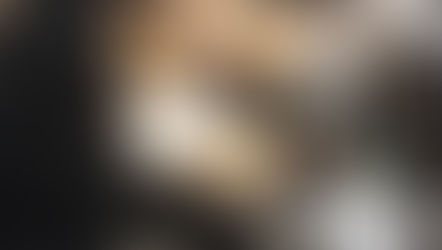 Waterline by the Numbers