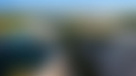 Senior Project Director - Mining Hydrogeologist