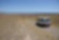 DSC_1585.JPG
