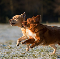 vincent-van-zalinge-AjtGg8feZhg-unsplash