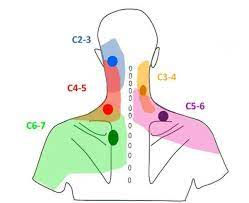 Shoulder pain from the neck