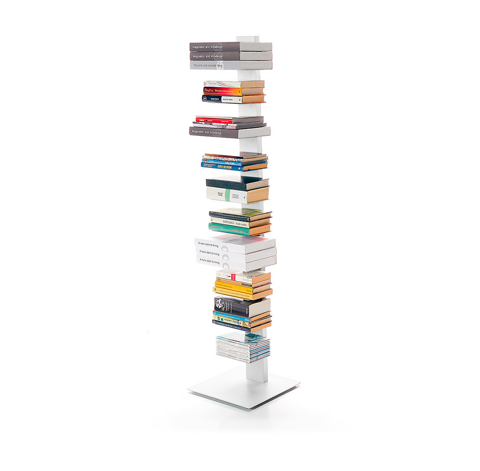 Miniatura: Libreria Sapiens (media)