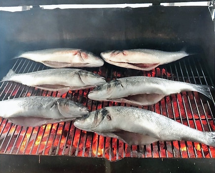 Fish Grill