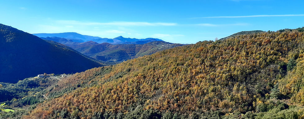 vue sur les Cévennes depuis le Mas de Goutanière