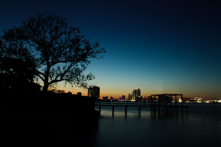 City Lights.png