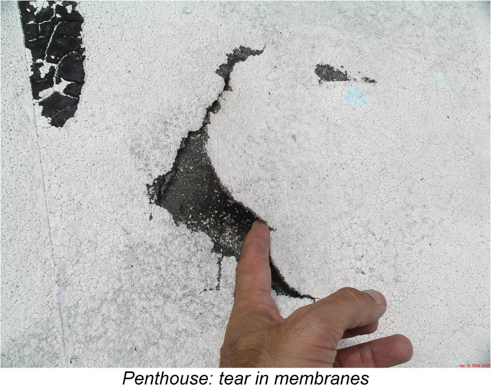 tear-in-roof-membrane.jpg