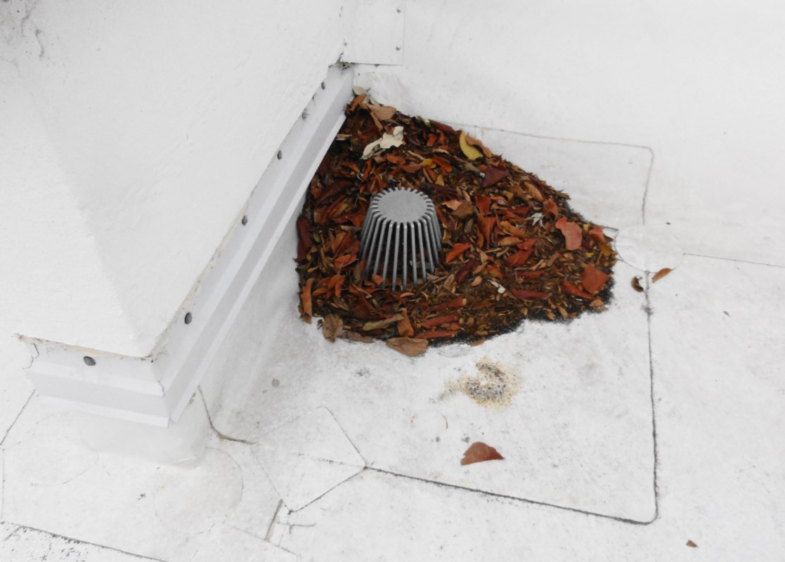 roof-drain-clog.jpg