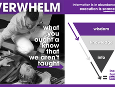 From Overwhelm to Freedom