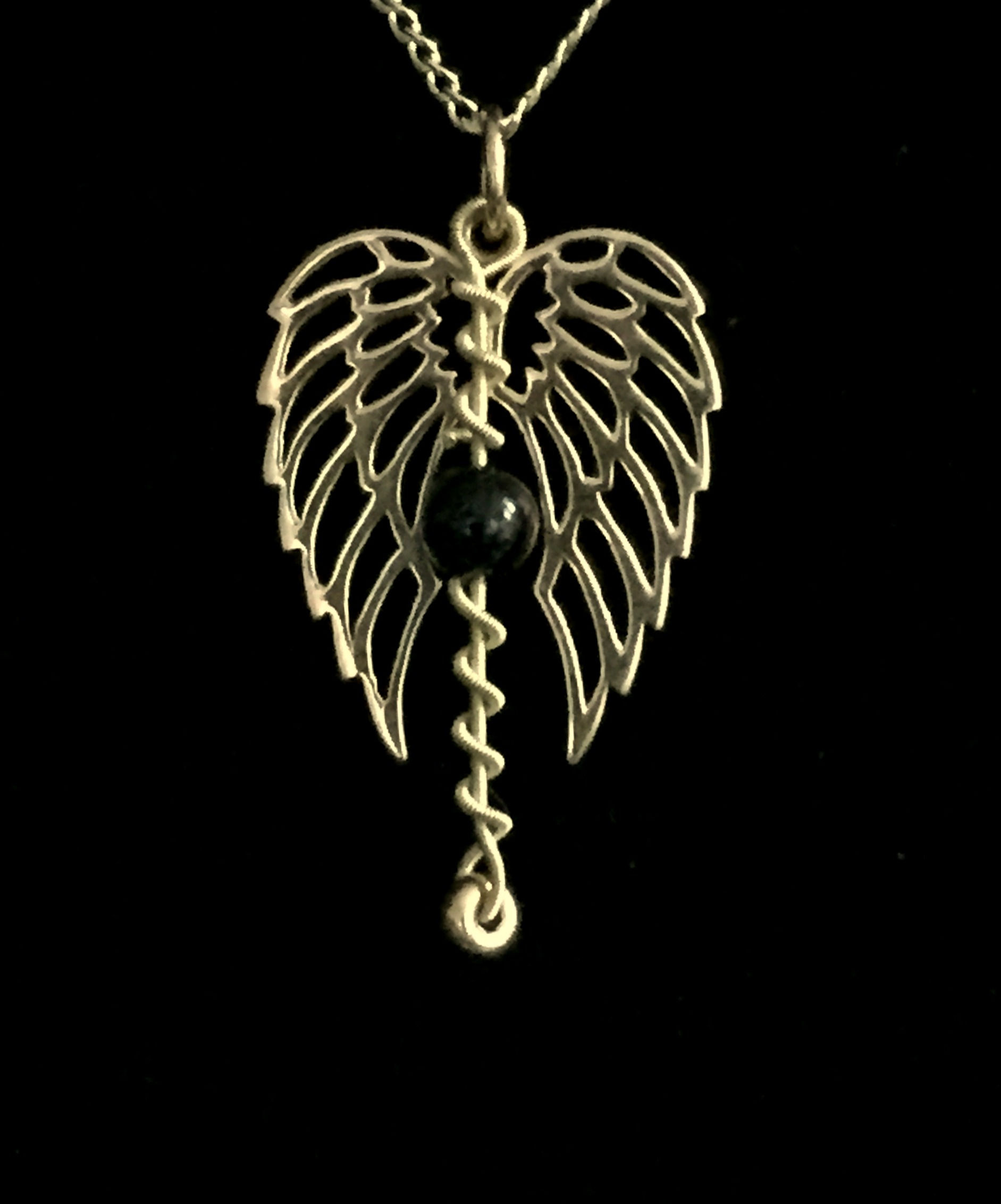 Angel Wings w/ Gregg Allman's Played Acoustic String