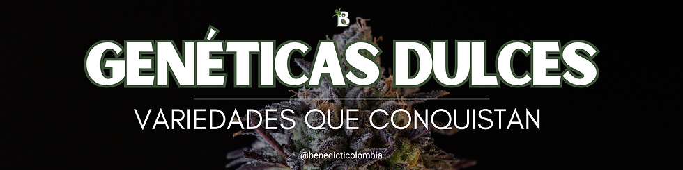 Genéticas Dulces