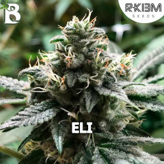 Eli R-KIEM