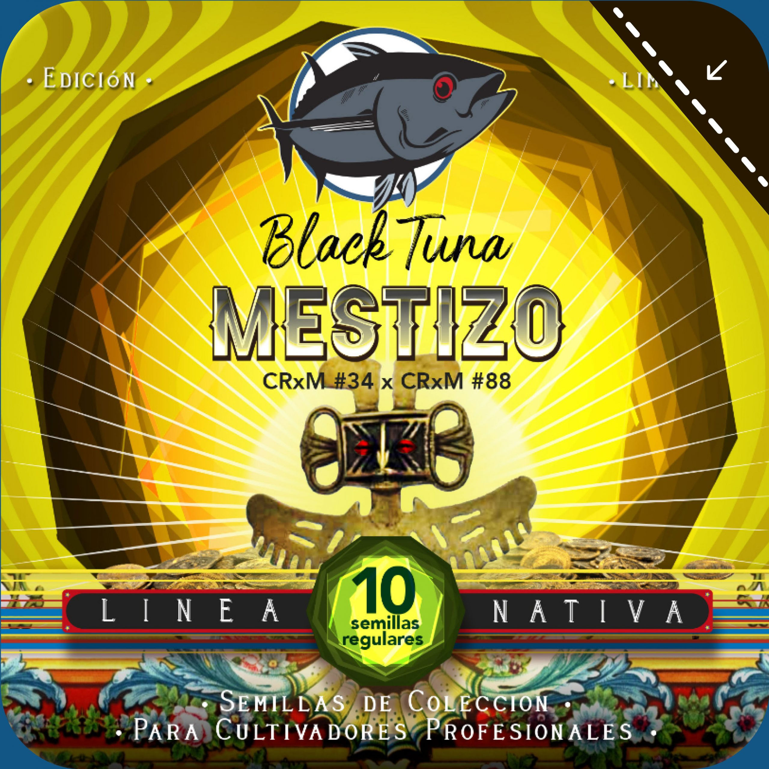 Mestizo