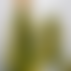 Gulupa - Paradise Seeds