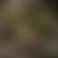 Happy Lora - Black Tuna