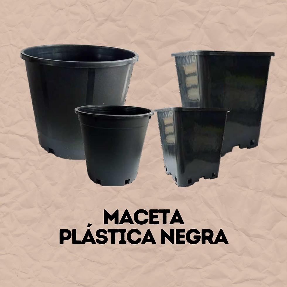 Tipos de macetas: maceta plástica negra