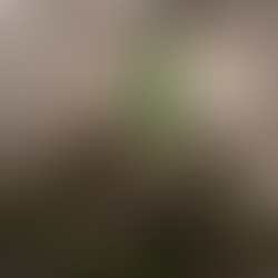 Happy Lora - Black Tuna