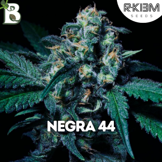 Negra 44 R-KIEM