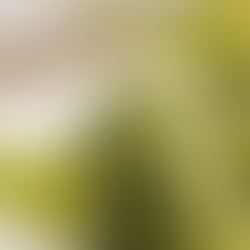 Gulupa - Paradise Seeds