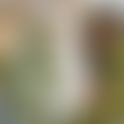 Gulupa - Paradise Seeds