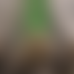 Happy Lora - Black Tuna