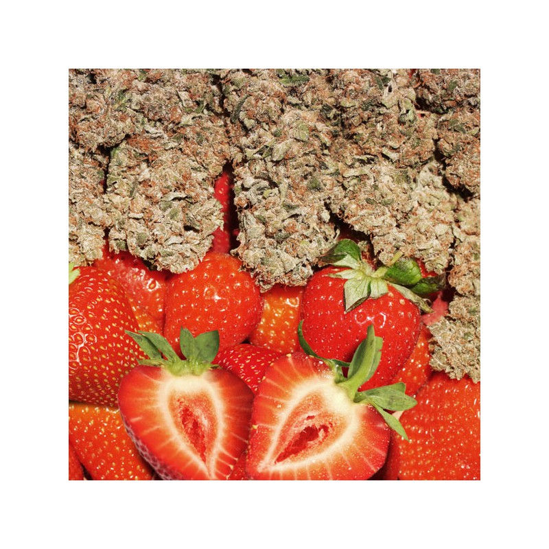 Miniatura: Strawberry Cough