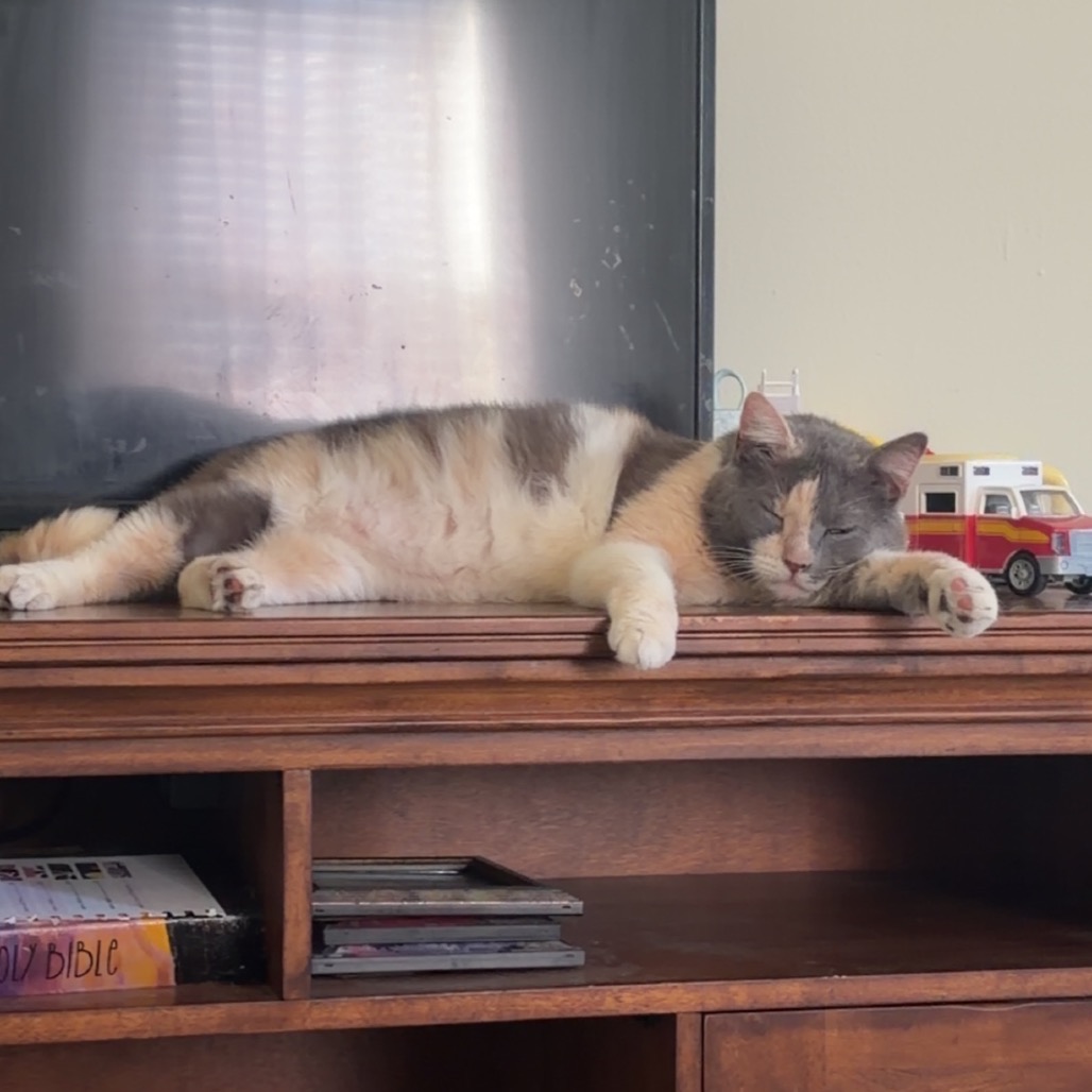 Finnegan “Finn”