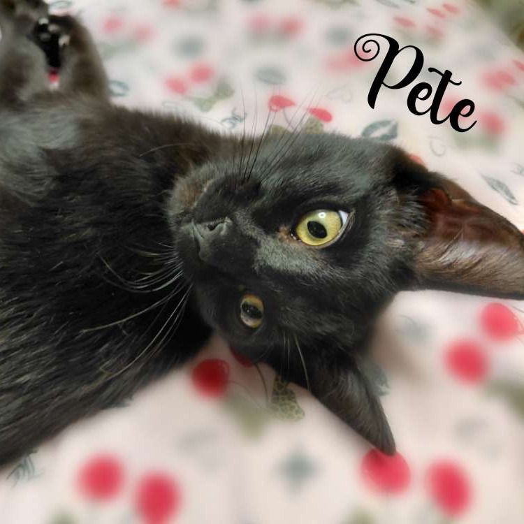 Petey