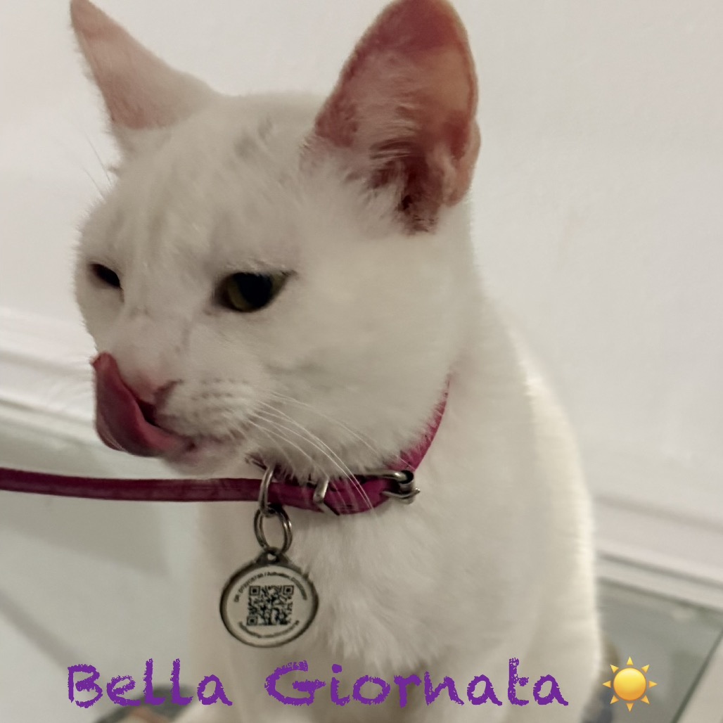 Bella Giornata 