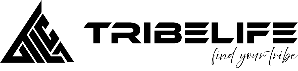 Asset 2.png