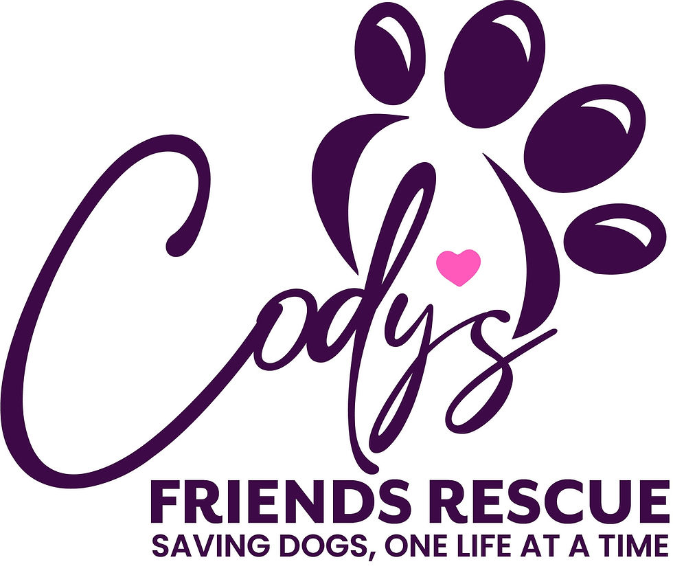 New Cody's Logo_edited.jpg