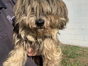 Sassy's Transformation