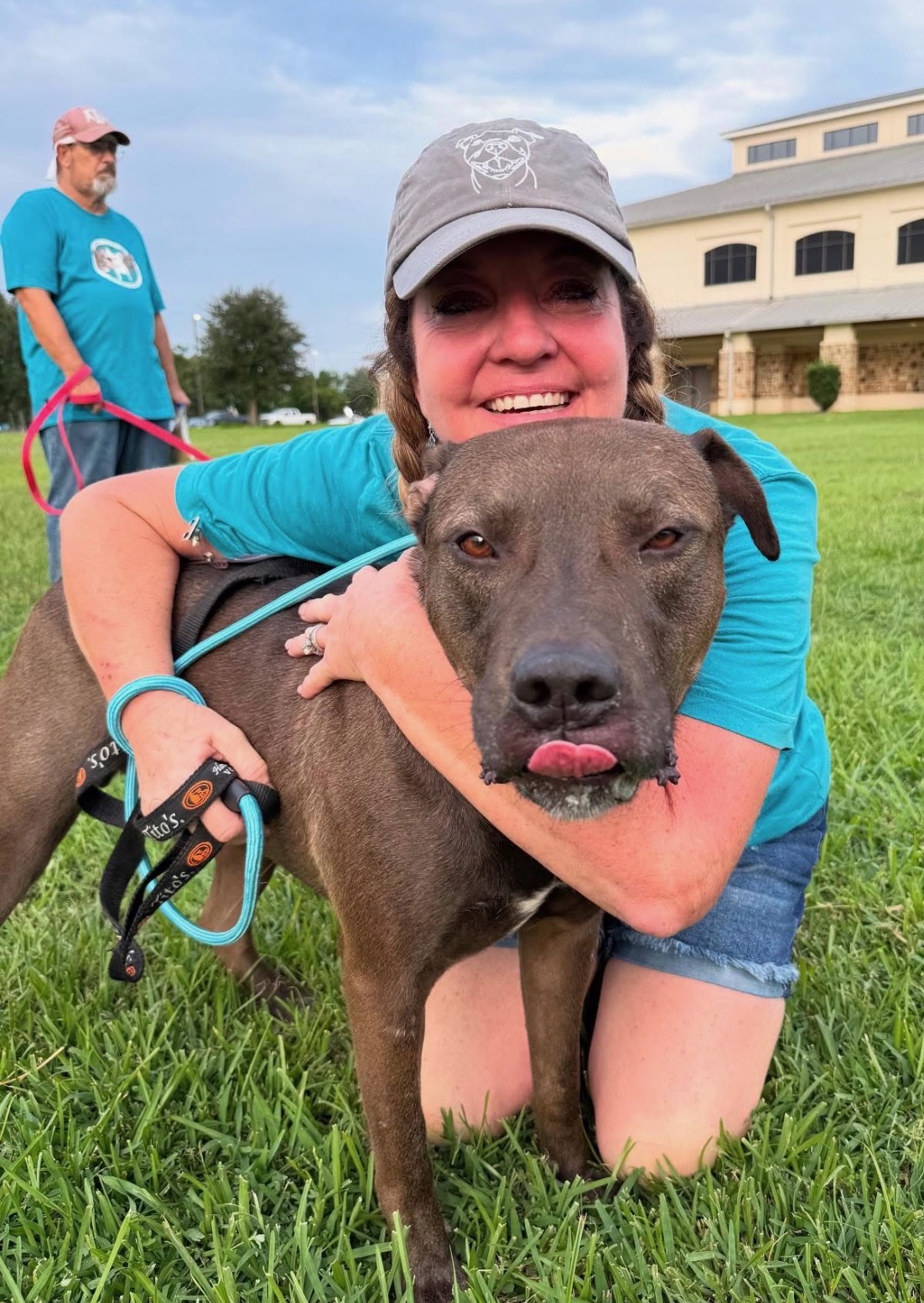 Helping Your Rescue Dog Settle Into a Routine After Adoption