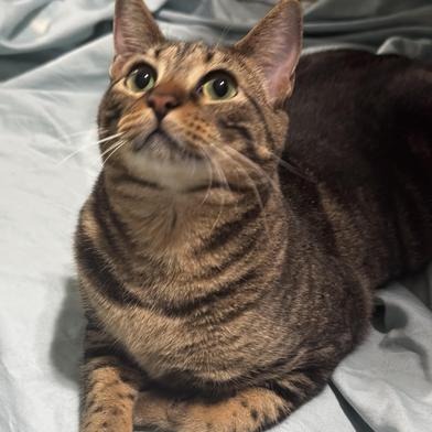 Eleanor - 28561