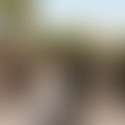 Hotel Xcaret Destination Wedding in Riviera Maya, Mexico