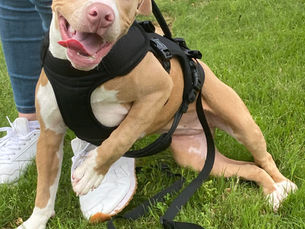 Moving Away From Labels