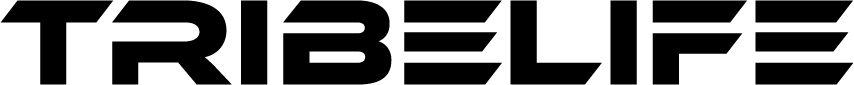Asset 4.png