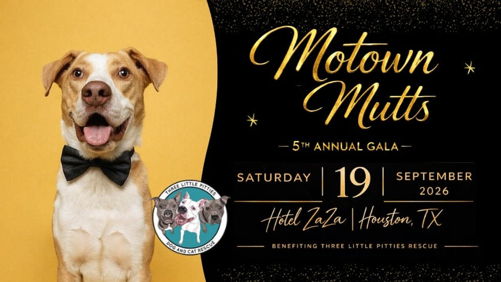 Motown Mutts