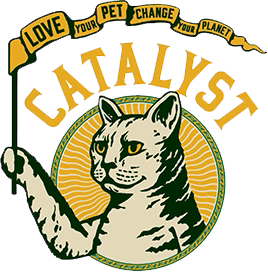 Catalyst