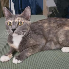 Willow (Samantha W)