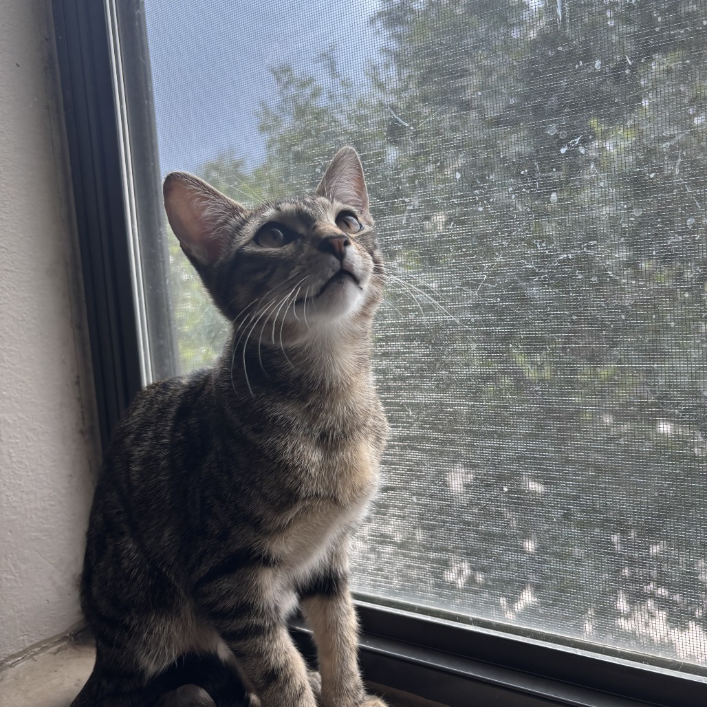 Leo