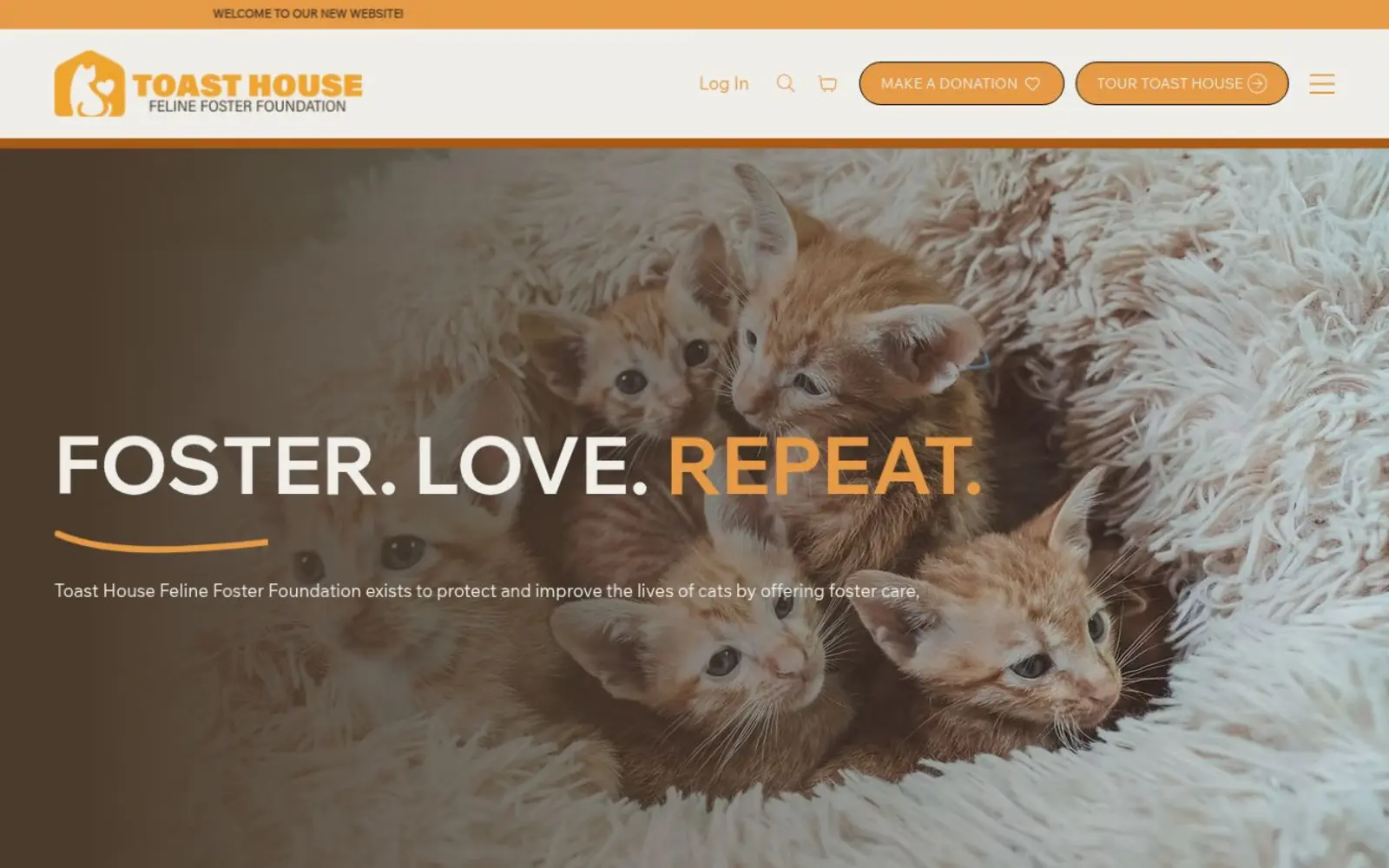 Toast House Feline Foster Foundation website homepage shown on desktop