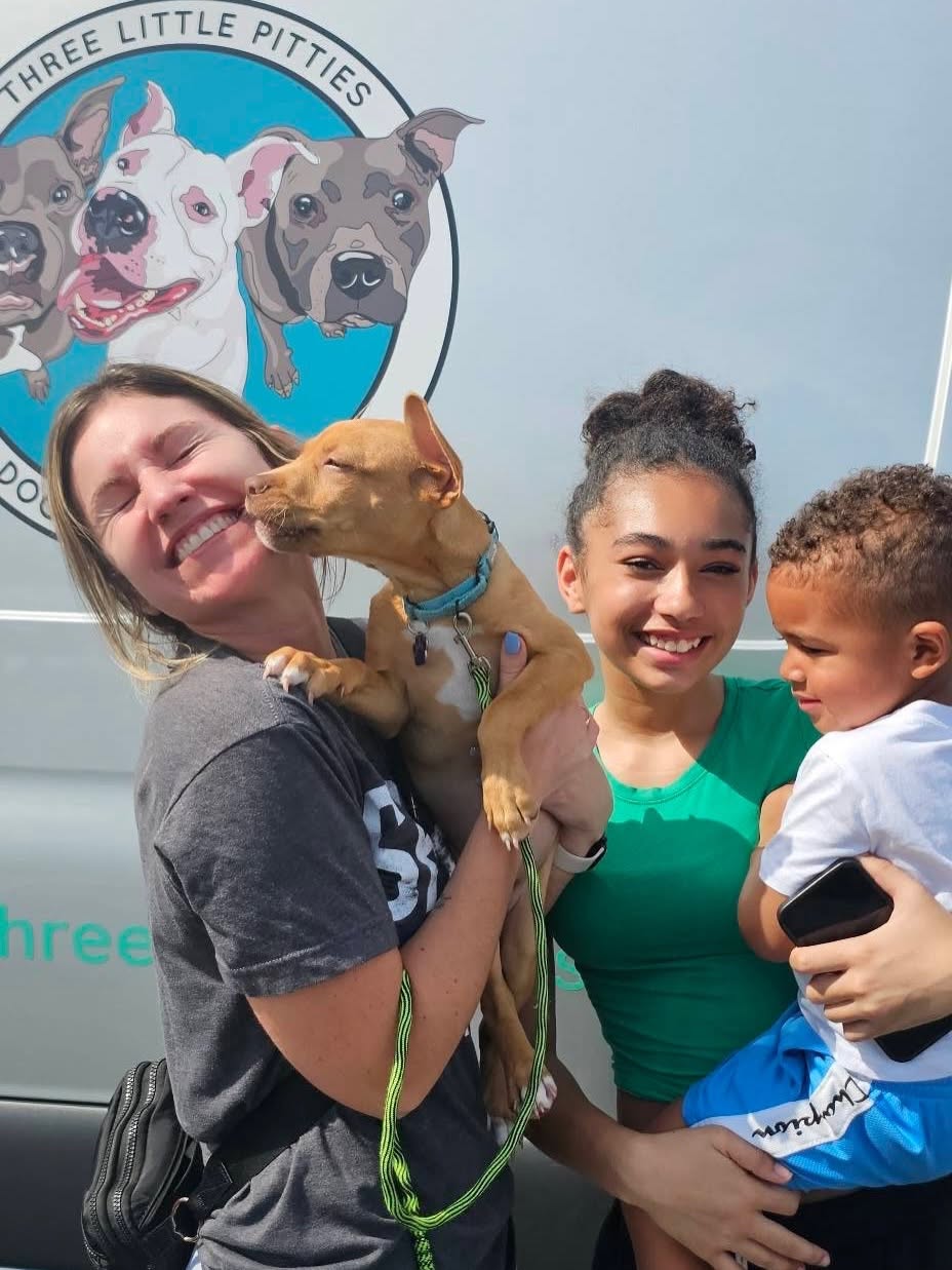 Helping Your Rescue Dog Settle Into a Routine After Adoption