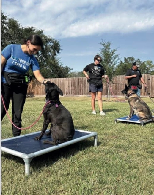 Saturday Behavior Dog Training Class - Open to the Public