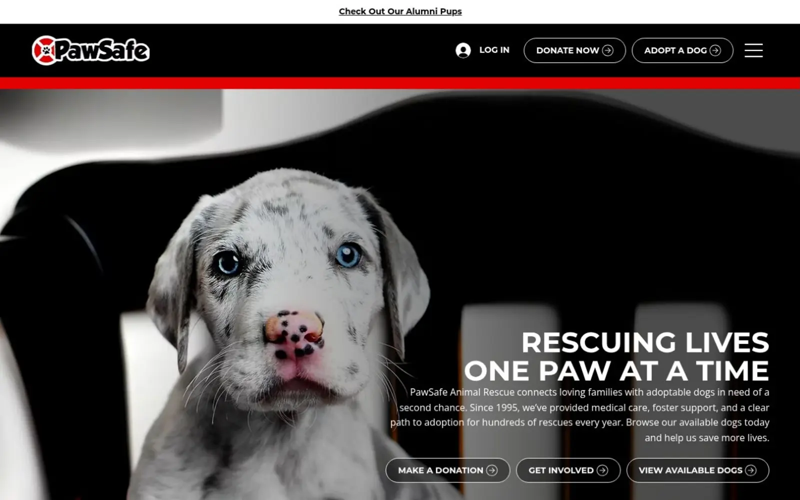 PawSafe Animal Rescue website homepage shown on desktop