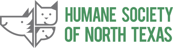 HSNT-Horizontal_GreenGray_RGB (2).png